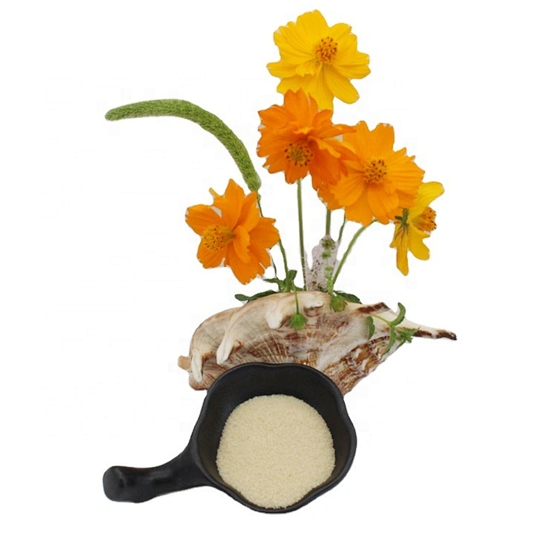 Hot sale Food Grade Gelatin 280 Bloom Beef Skin Edible Gelatin for Food Factory